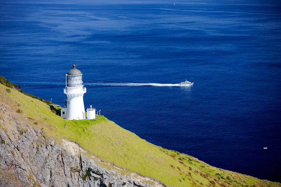 Paihia/Russell: Hole in the Rock, Dolphins & Island Cruise - Paihia or Russell: choosing your departure point