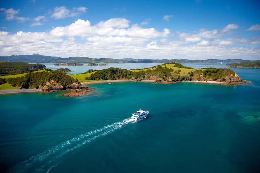 Paihia/Russell: Hole in the Rock, Dolphins & Island Cruise - Should you book the Hole in the Rock cruise?