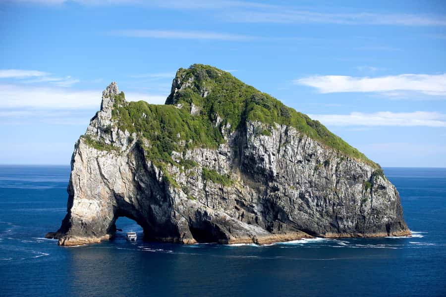 Paihia/Russell: Hole in the Rock, Dolphins & Island Cruise - Watching for dolphins and whales