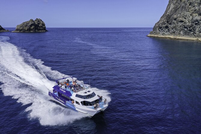 Phantom Sailing Bay of Islands - The island stop and viewpoint walk