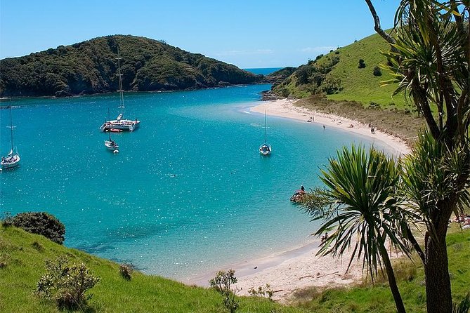 Phantom Sailing Bay of Islands - Robin’s homemade lunch on deck
