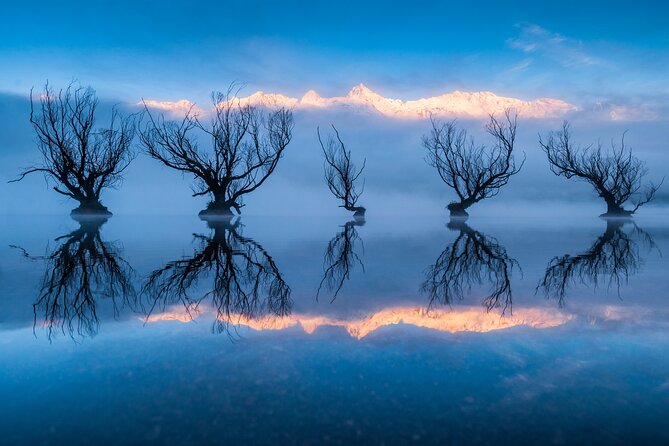 Photography Tour from Queenstown to Glenorchy - 1/2 Day - The guide makes this more than a scenic drive