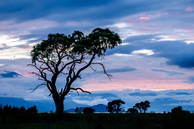 Photography Tour from Queenstown to Glenorchy - 1/2 Day - Snacks, equipment, and what you need to bring