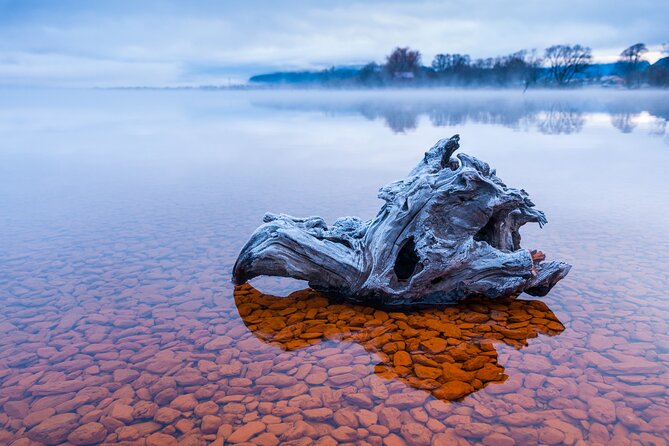 Photography Tour from Queenstown to Glenorchy - 1/2 Day - Is $235.82 per person good value?