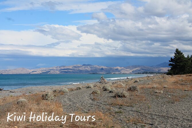 Picton & Blenheim Scenic Tour - From Picton to Blenheim through Marlborough country