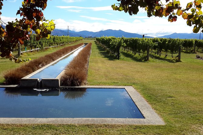 Picton Cruise Ship Shore Excursion Marlborough Wine Tour - Lunch is the biggest value question
