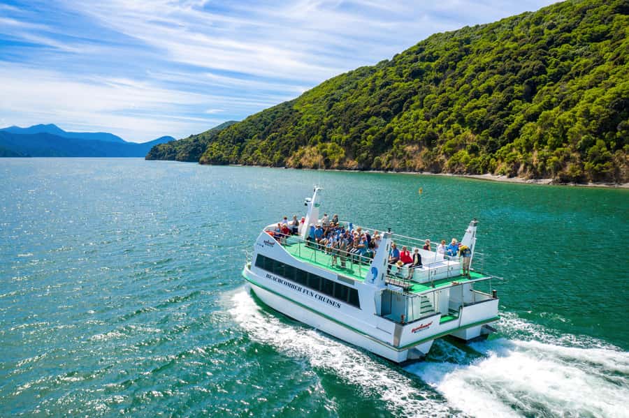 Picton Shore Excursion: Queen Charlotte Sounds Cruise - Five Things to Know Before You Go