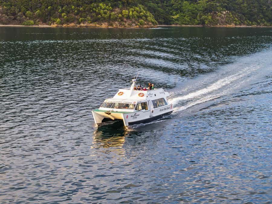 Picton Shore Excursion: Queen Charlotte Sounds Cruise - Sheltered Bays, Regenerating Forest, and Open Water