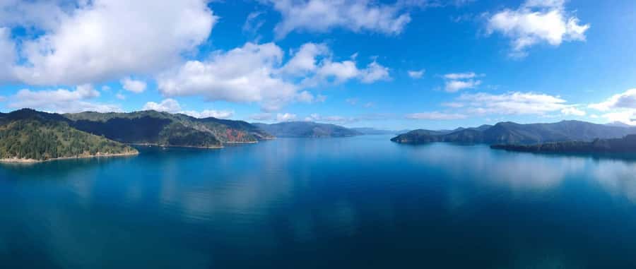 Picton Shore Excursion: Queen Charlotte Sounds Cruise - How the Cruise Compares With Seeing the Sound From a Ship