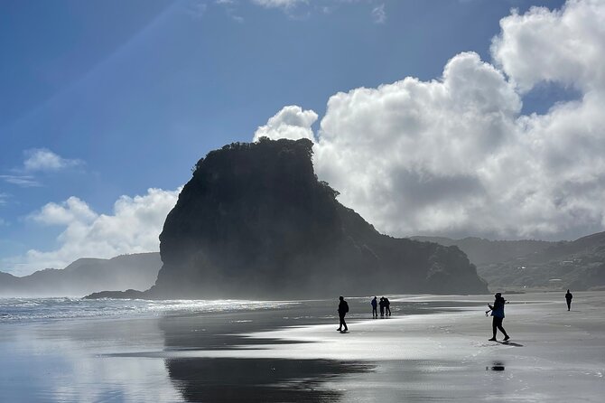 Piha Beach - Who will enjoy this tour most