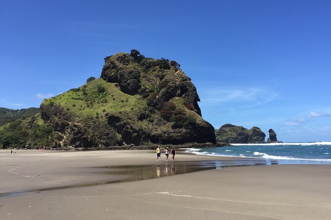 Piha Waitakere Rainforest Wine Tour from Auckland - The guide makes the difference
