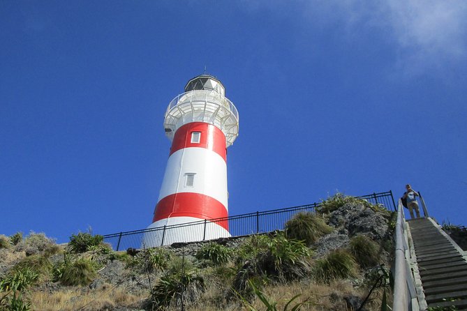 "Pinot to Palliser tour" - Guided tour to Cape Palliser vith lunch + winetasting - Key points at a glance