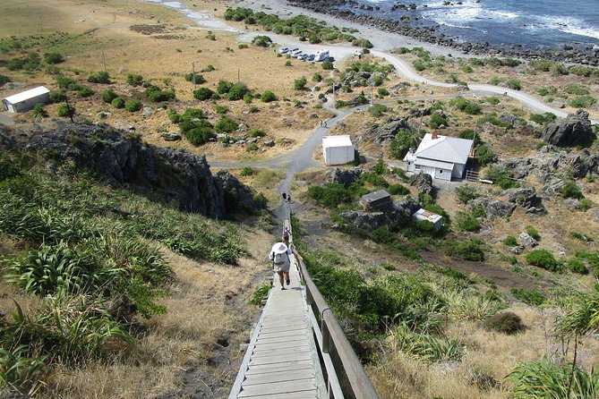 "Pinot to Palliser tour" - Guided tour to Cape Palliser vith lunch + winetasting - Cape Palliser Lighthouse and the 250-plus steps