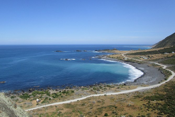 "Pinot to Palliser tour" - Guided tour to Cape Palliser vith lunch + winetasting - Is $201.69 good value?