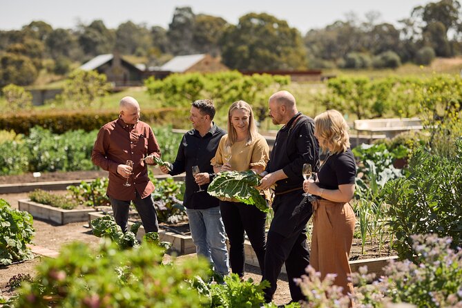 "Pinot to Palliser tour" - Guided tour to Cape Palliser vith lunch + winetasting - Who will enjoy this private six-hour outing?