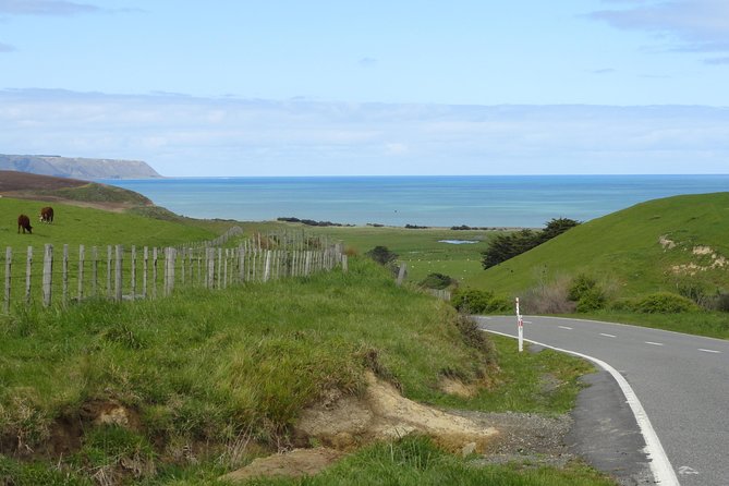 "Pinot to Palliser tour" - Guided tour to Cape Palliser vith lunch + winetasting - Ngawi and the pink bulldozer called Babe