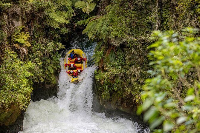 Polynesian Spa Rotorua: Family Hot Pools and Freshwater Pool - What the mixed rating means for your decision