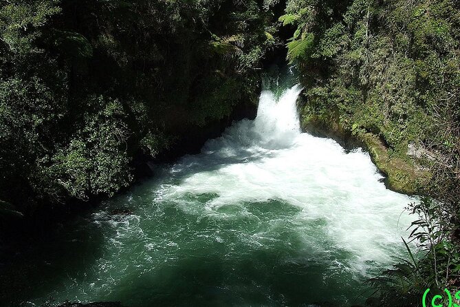 Ports of Tauranga/Rotorua/Tga - 6 Hours Rotorua Highlights Tour - From Tauranga port to Okere Falls