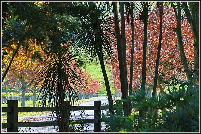 Premium 4 -Best Wineries Napier Hawke's Bay Tour, 5.5h - 6Hours - The route can change, and that is not always bad
