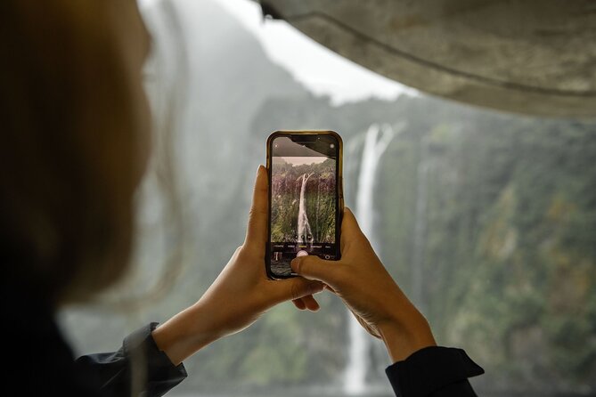Premium Milford Sound Cruise Including Lunch - Wildlife watching with useful commentary