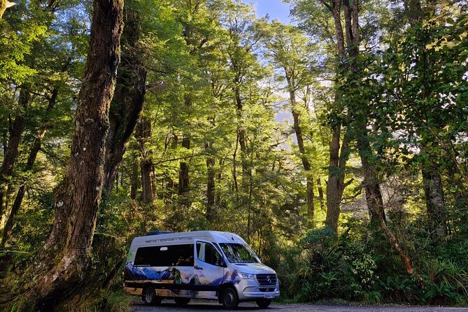 Premium Milford Sound Small Group Tour & Cruise from Queenstown - Mirror Lakes and the value of a short walk