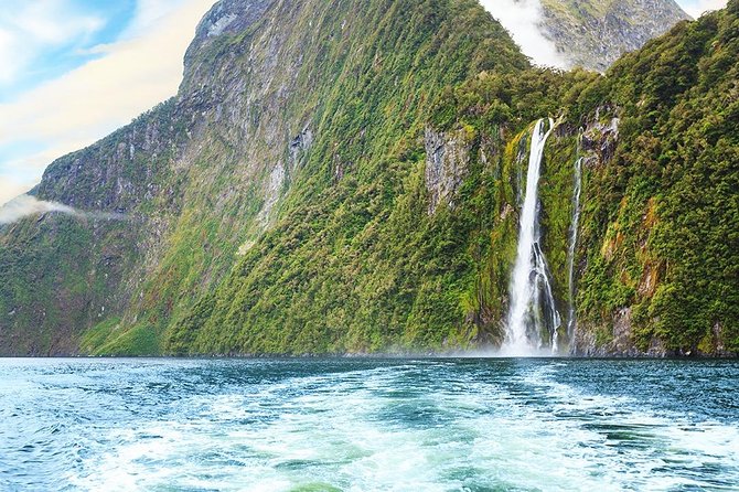 Premium Milford Sound Tour, Cruise & Lunch from Te Anau - Who should book this Milford Sound tour?