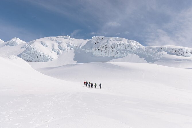 Premium Mt Ruapehu Summit Plateau Guided Group Hike - What the NZD315.25 price includes