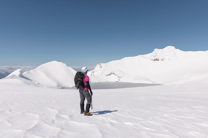 Premium Mt Ruapehu Summit Plateau Guided Group Hike - Who will enjoy this mountain hike?