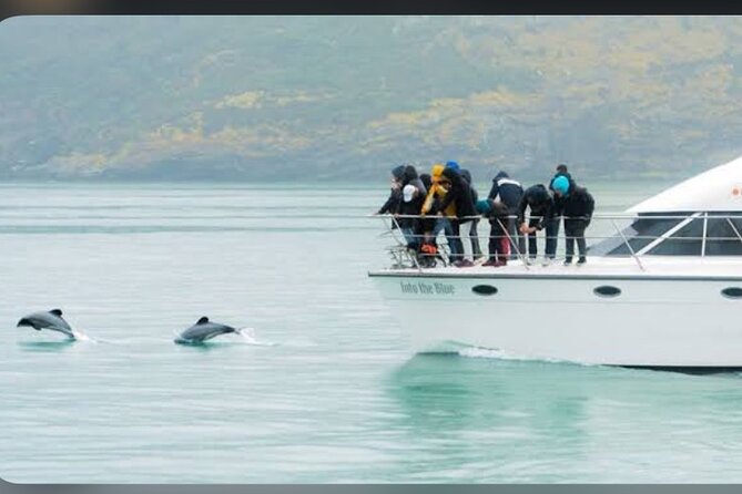 Private Akaroa Day Tour From Christchurch - Food, timing, and what to bring