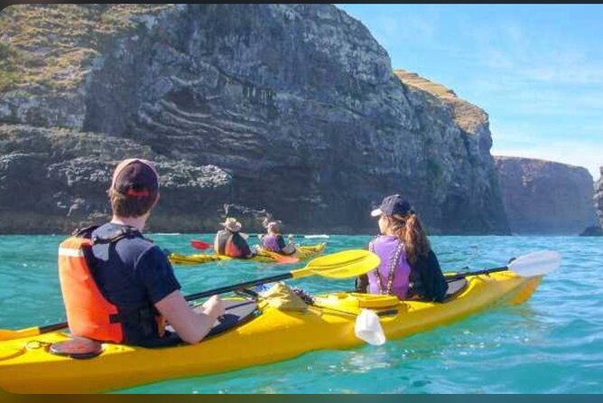 Private Akaroa Day Tour From Christchurch - The Banks Peninsula drive is part of the experience