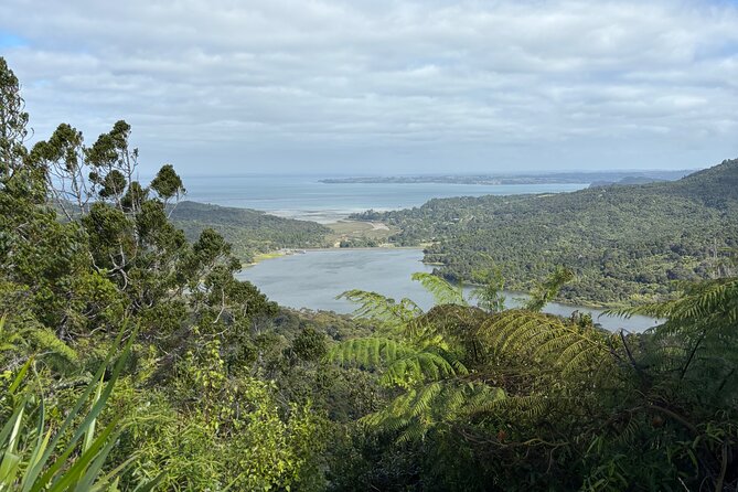 Private Auckland best Spots + Piha beach and rainforest day Tour - Why a private Auckland day makes sense