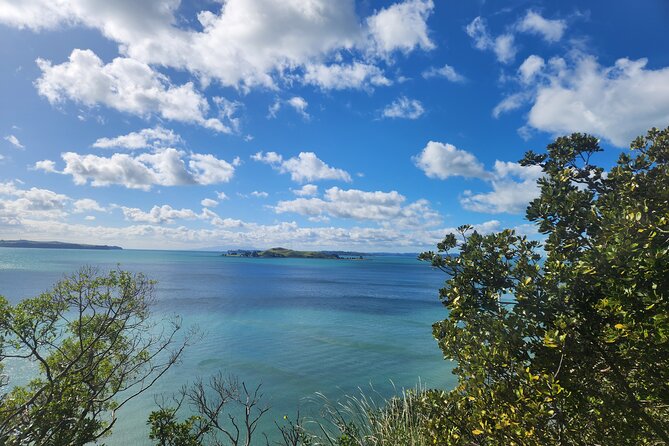 Private Auckland best Spots + Piha beach and rainforest day Tour - Arataki Visitor Centre: the gateway to the Waitakere Ranges