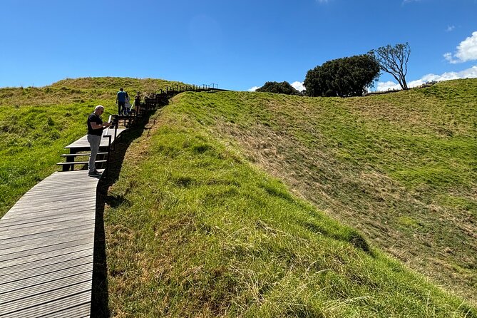 Private Auckland Best Top 5 Spots Half day Tour - Timing, pickup, and the private vehicle