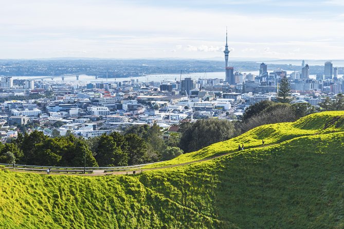 Private Auckland City Tour Including Auckland Tour House Visit - Key points to know before booking