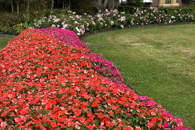 Private Auckland City Tour Including Auckland Tour House Visit - What the private vehicle adds