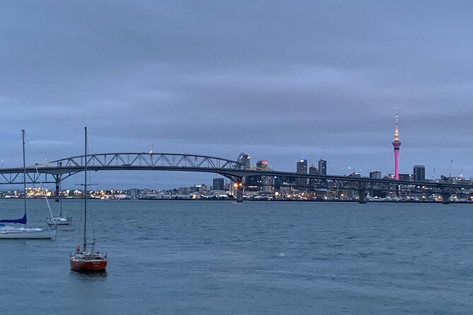 Private Auckland City Tour Including Auckland Tour House Visit - How much value do you get for $465.43?