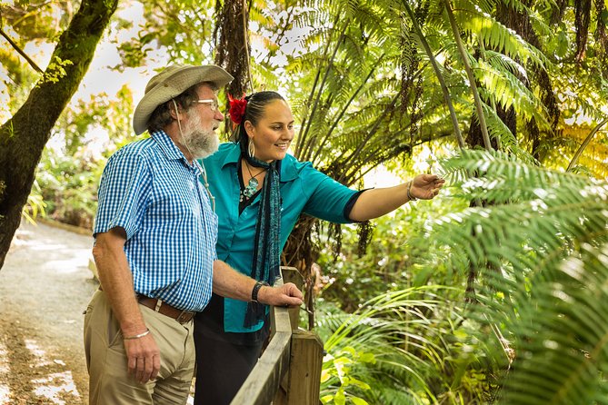 Private Auckland Half Day Tour - Mission Bay, a short taste of Auckland’s coast