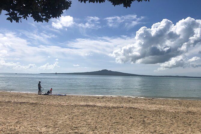 Private Auckland Half Day Tour - Crossing the Auckland Harbour Bridge
