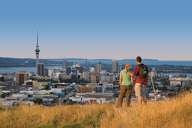 Private Auckland Half Day Tour - Volcanic views and the shape of Auckland