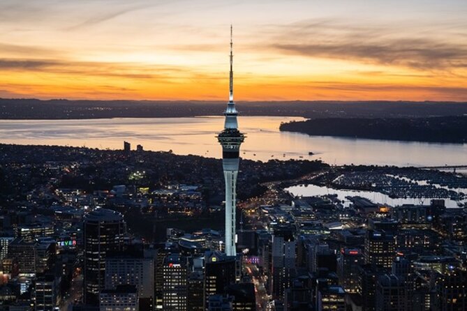 Private Auckland Sightseeing - Full Day/Half Day Hidden Gems Tour - Central Auckland for culture, parks, and neighbourhood life