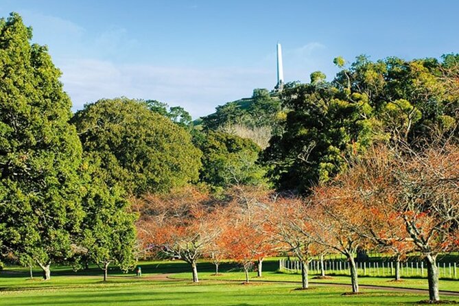 Private Auckland Sightseeing - Full Day/Half Day Hidden Gems Tour - Piha, Lion Rock, and Auckland’s rugged west coast