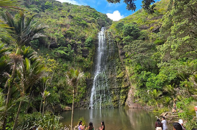 Private Auckland West Coast Tour Piha Beach and Karekare Falls - A private vehicle makes the route easier