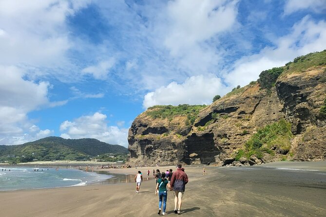 Private Auckland West Coast Tour Piha Beach and Karekare Falls - Guides add the human side of the outing