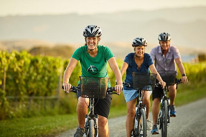 Private Biking Wine Tour (full day) in the Marlborough Region - The guide can make or break the day
