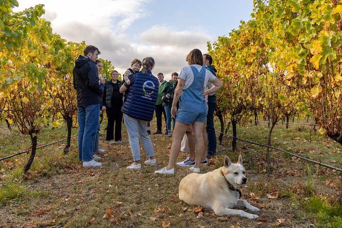 Private Biking Wine Tour (full day) in the Marlborough Region - Who will enjoy this most
