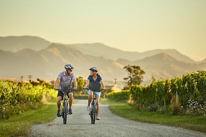 Private Biking Wine Tour (full day) in the Marlborough Region - Five winery visits, with room for a sixth