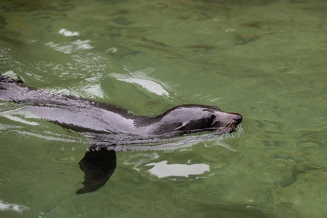 Private boat charter in Abel Tasman National Park - Starting at Stephens Bay in Kaiteriteri