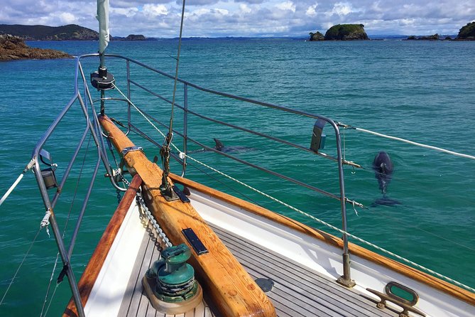 Private Charter Bay of Islands - Key points to know before you book
