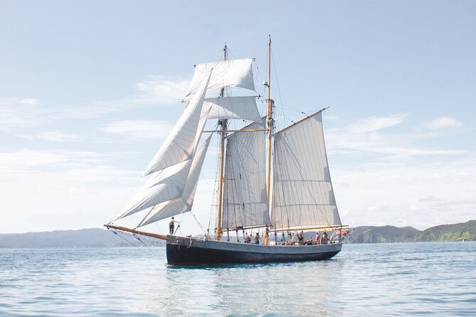 Private Charter Bay of Islands - Weather, clothing, and comfort on the water
