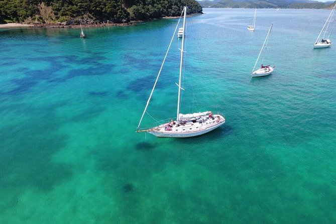 Private Charter Bay of Islands - An island stop for hiking, snorkeling, and beach time